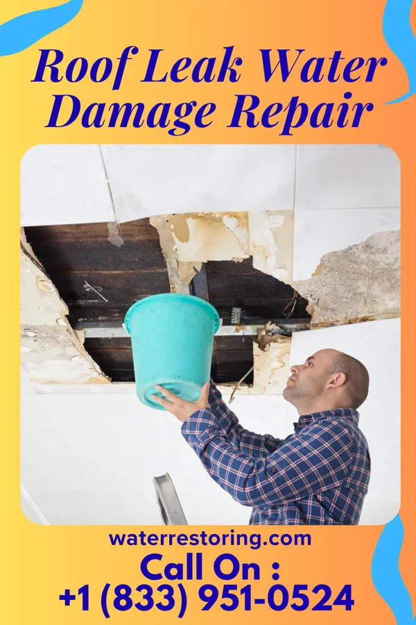 Roof Leak Water Damage Repair in St. Clair, MO