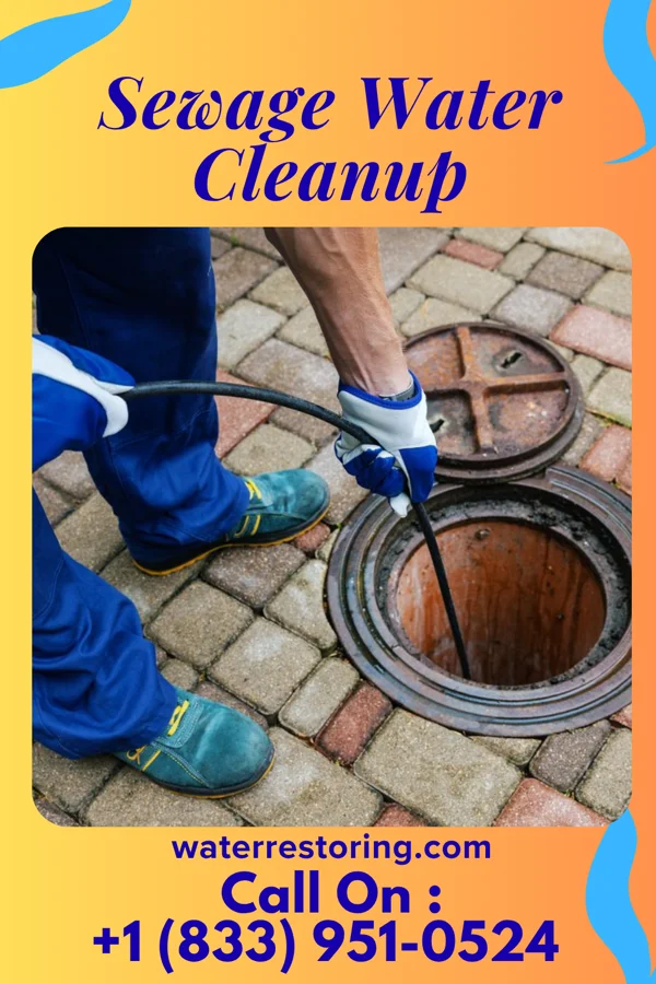Sewage Water Cleanup in St. Clair, MO