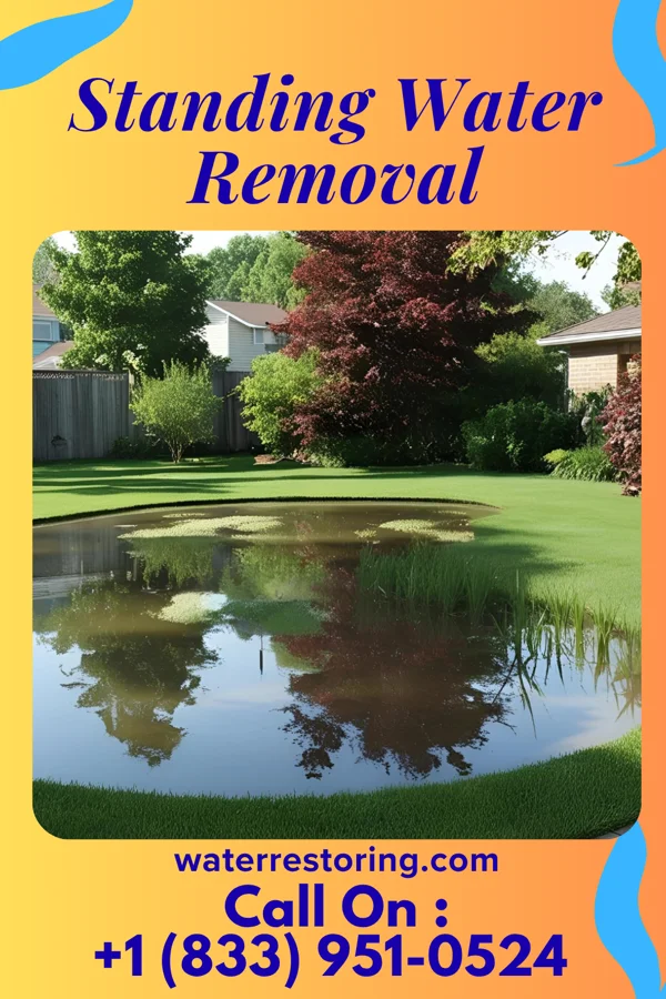 Standing Water Removal in St. Clair, MO